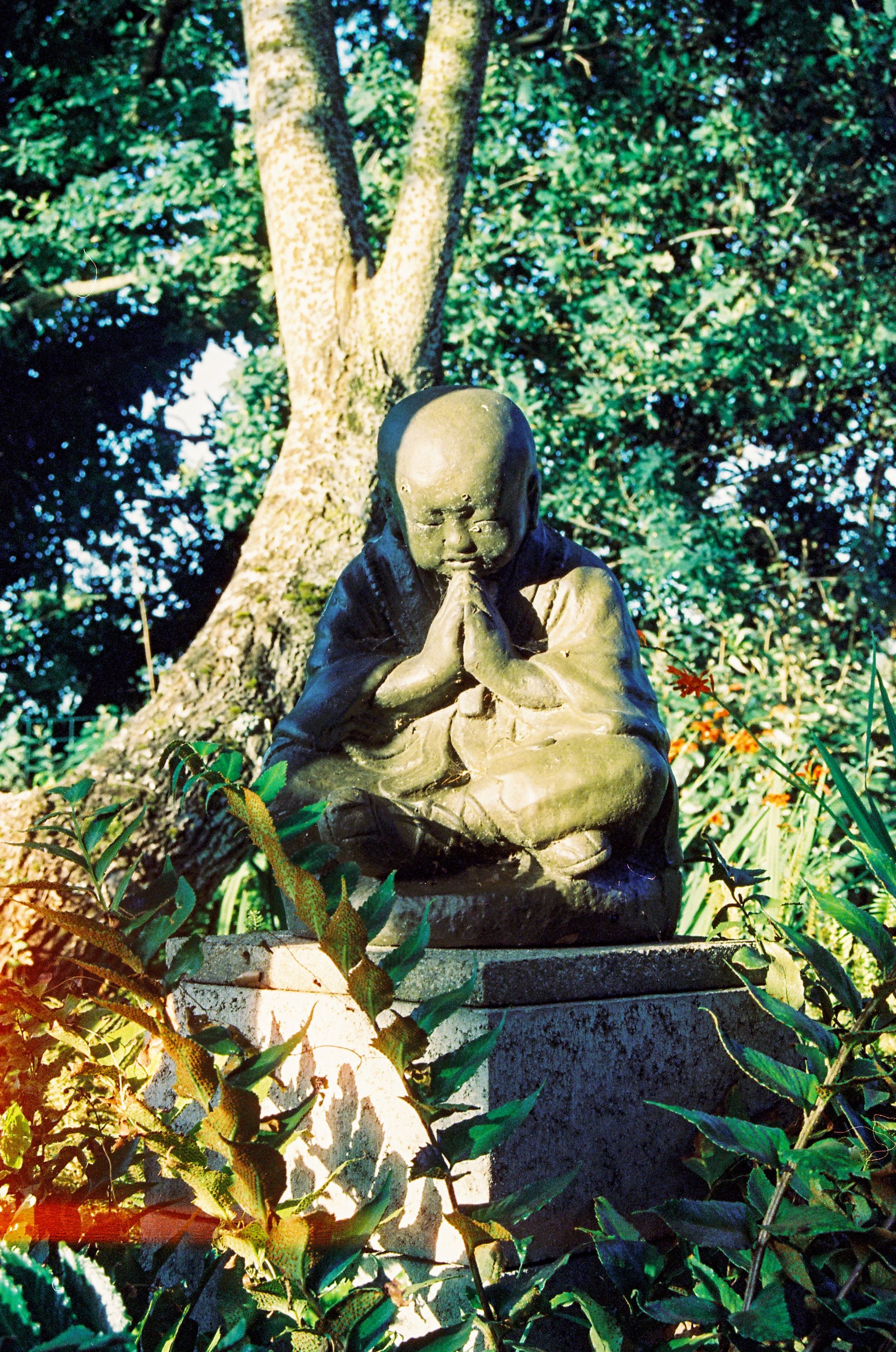 The world's most important garden