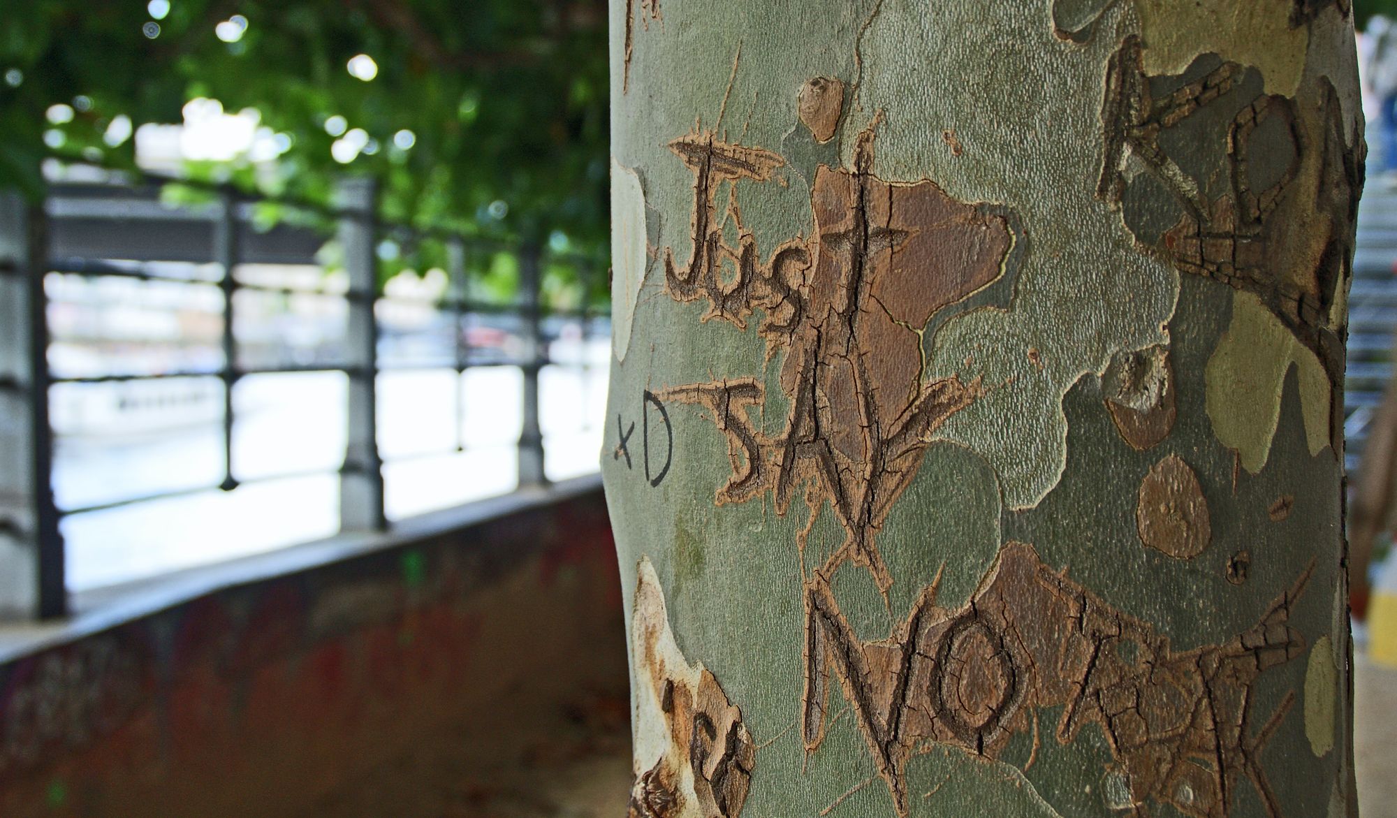 Saying No can change your life