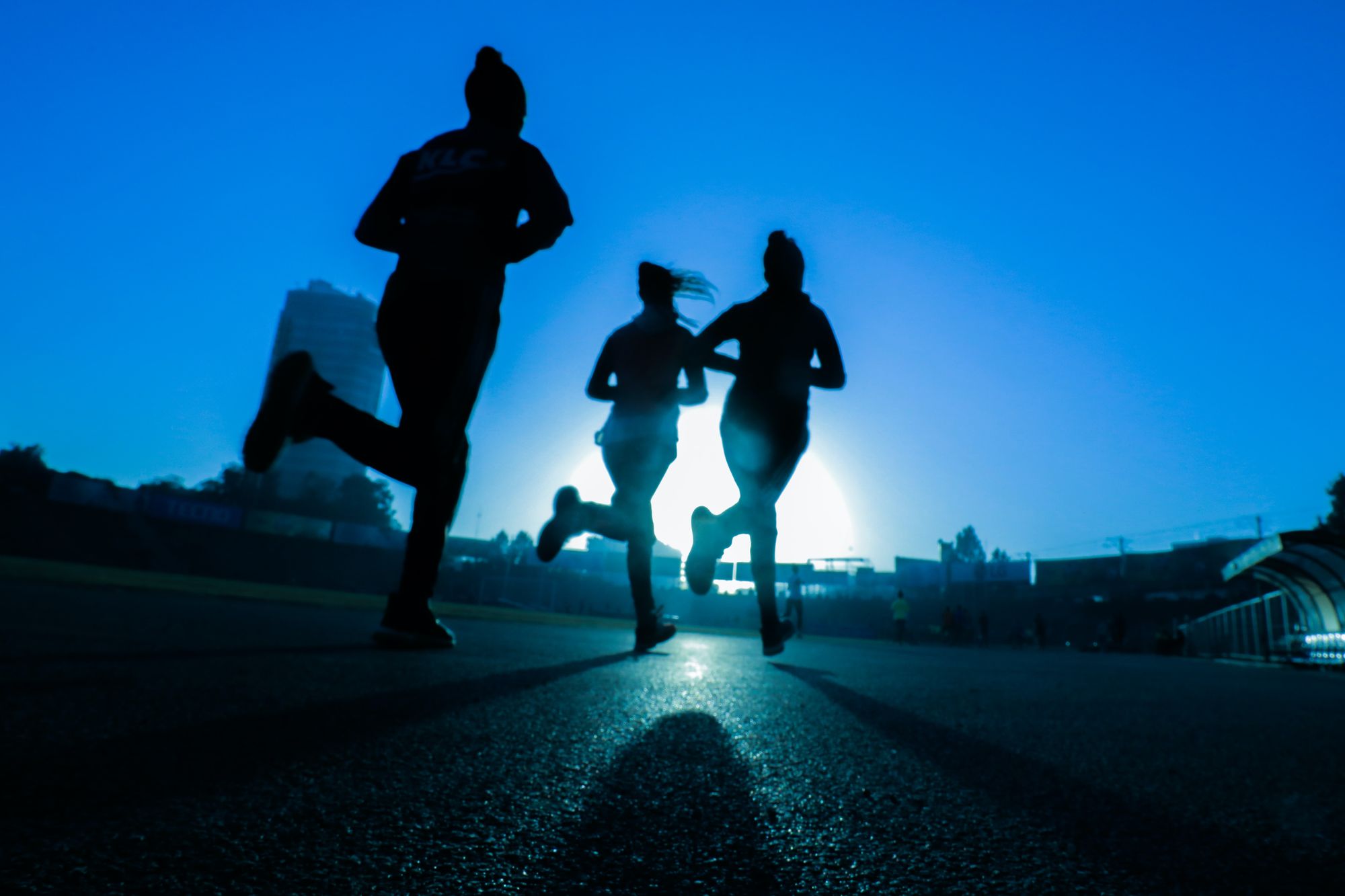 Long Runs: How To Train Your Brain
